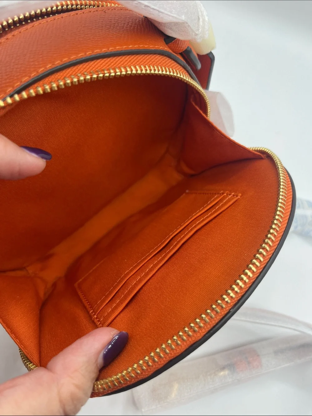 Coach Pumpkin Canteen Crossbody 2024